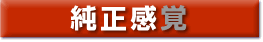 ¥P覚ロゴ